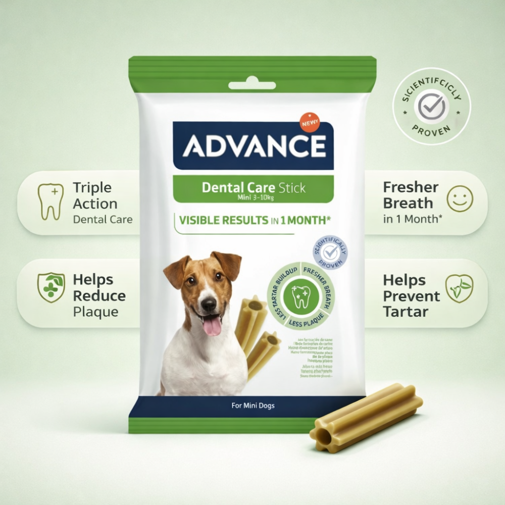 Dental Care Stick Snacks for Dogs | Mini Size