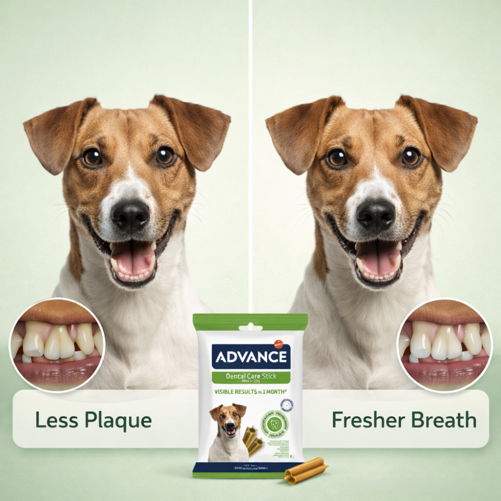 Dental Care Stick Snacks for Dogs | Mini Size