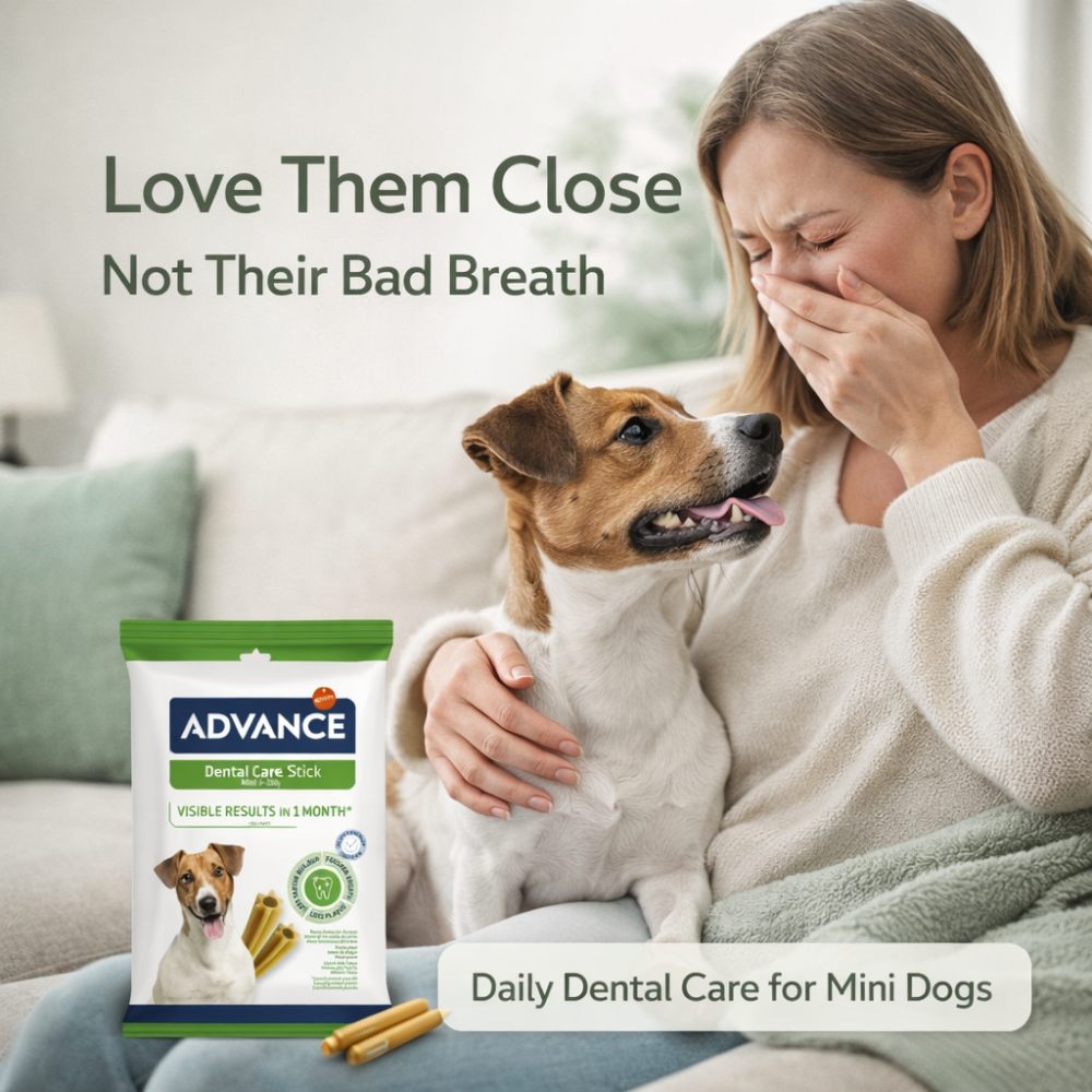 Dental Care Stick Snacks for Dogs | Mini Size