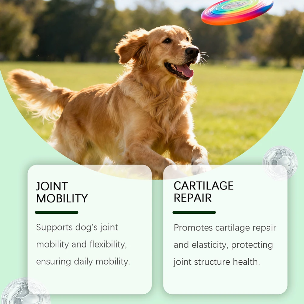 Joint Supplement Soft Chews for Dogs | Senior Dog Use