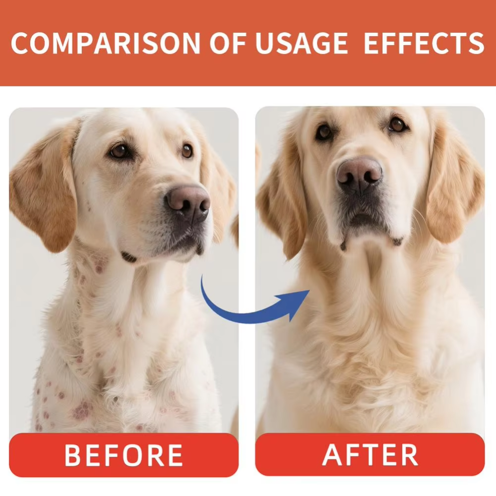 Probiotic Supplement for Dogs | 40g Powder