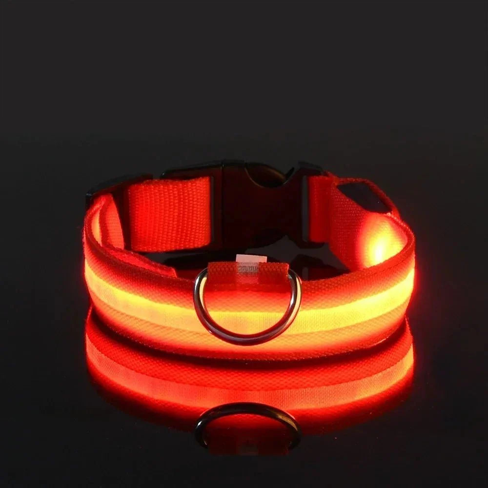 LED Dog Collar – Rechargeable Light Up Collar for Dogs