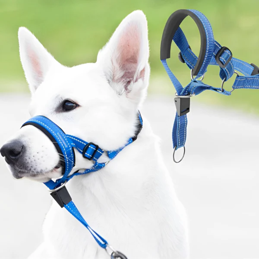 No Pull Dog Leach / muzzle with Padded Chest & Reflective Strips – Pull Ease