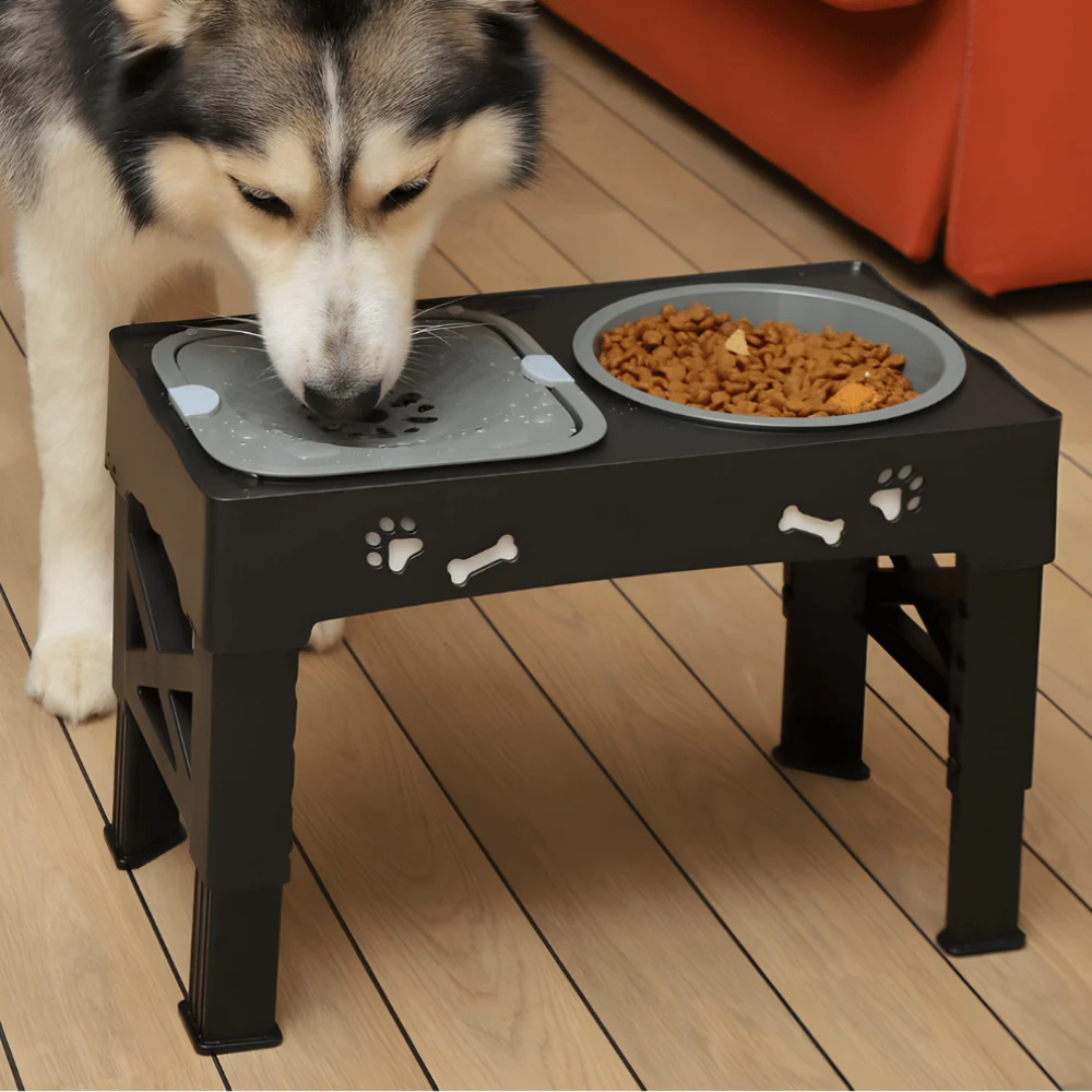 Elevated Dog Bowls – 3-in-1 Raised Feeding Station for Dogs