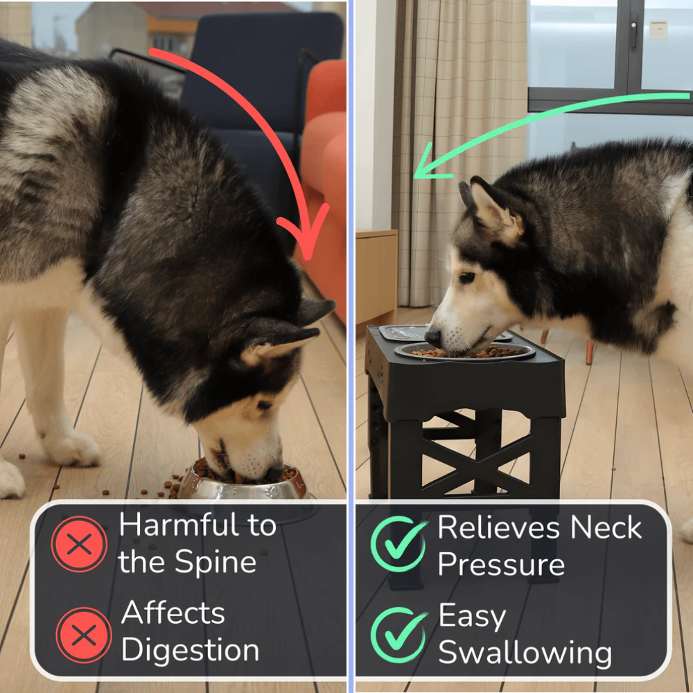 Elevated Dog Bowls – 3-in-1 Raised Feeding Station for Dogs