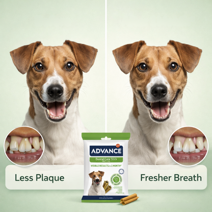 Dental Care Stick Snacks for Dogs | Mini Size
