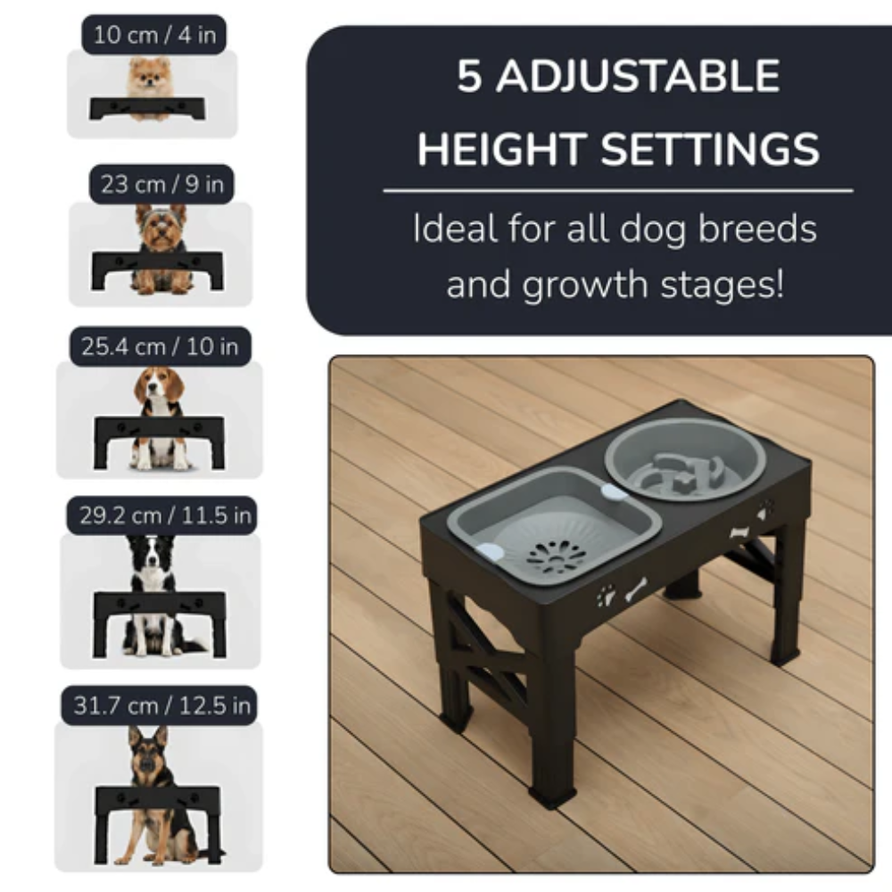 3-in-1 Dog Bowl Stand with Slow Feeder &amp; No Spill Water Bowl