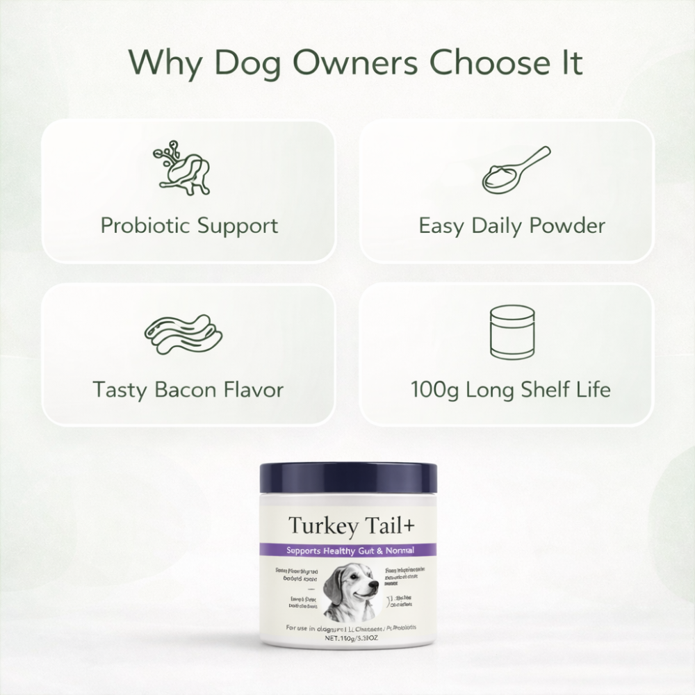 Probiotic Powder Supplement for Dogs | Intestinal Formula