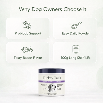 Probiotic Powder Supplement for Dogs | Intestinal Formula