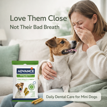 Dental Care Stick Snacks for Dogs | Mini Size