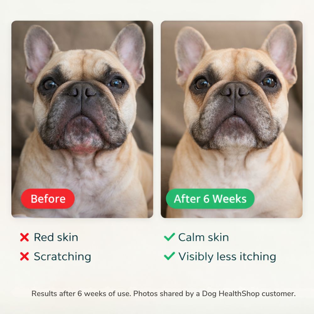 Skin Support Supplement Tablets for Dogs | After Meal Use