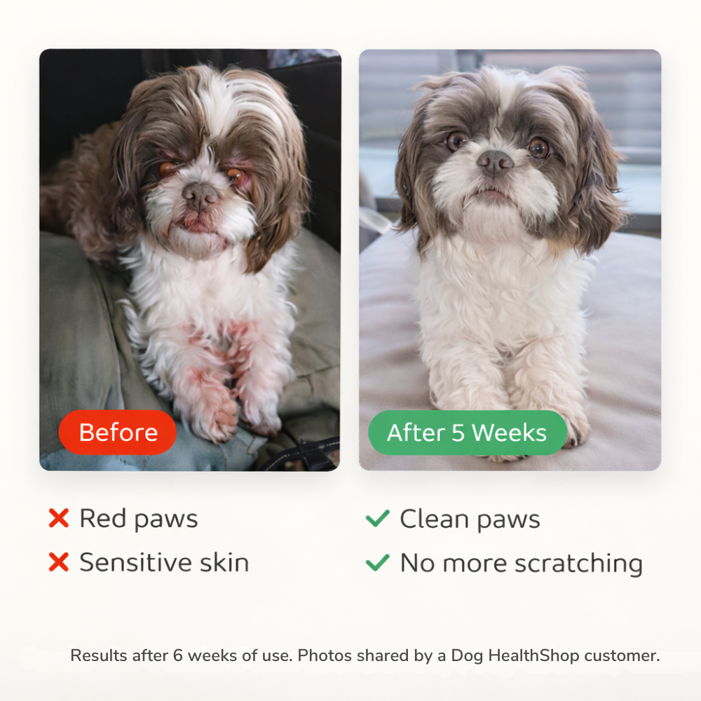 Skin Support Supplement Tablets for Dogs | After Meal Use