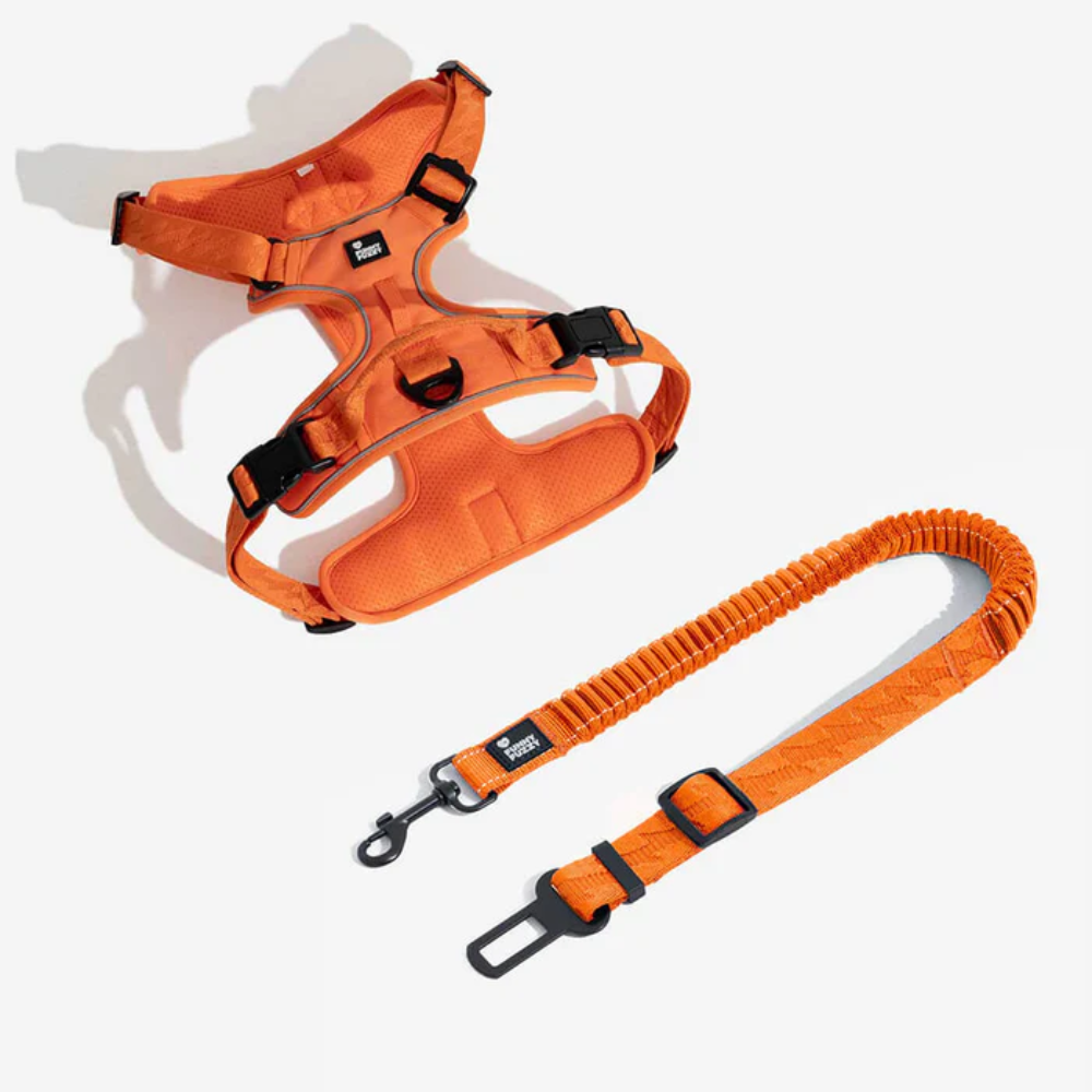Adjustable Dog Car Seat Belt – Pet Travel Safety Restraint