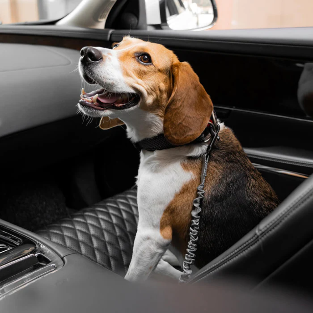 Adjustable Dog Car Seat Belt – Pet Travel Safety Restraint
