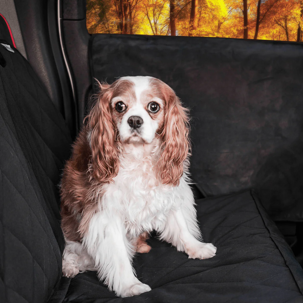 Dog Car Door Protector – Scratch Guard Cover 2 Pack