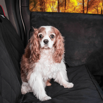 Dog Car Door Protector – Scratch Guard Cover 2 Pack