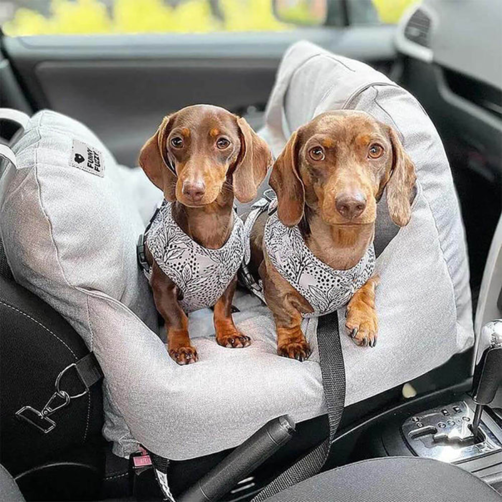 Dog Car Seat Bed – Waterproof Travel Booster for Small Dogs
