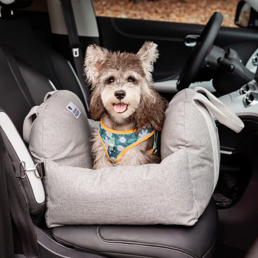 Dog Car Seat Bed – Waterproof Travel Booster for Small Dogs
