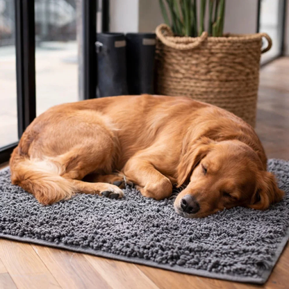 Dog Door Mat for Muddy Paws – Super Absorbent Non-Slip Pet Mat