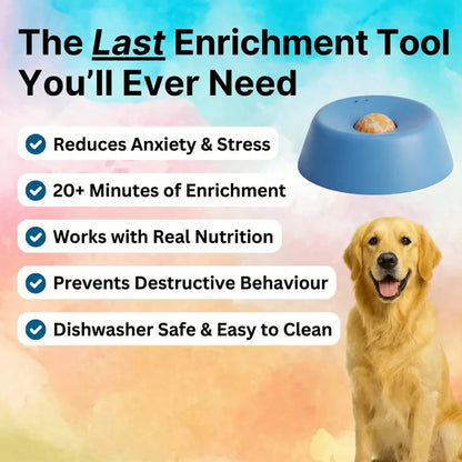 Dog Enrichment Bowl – Slow Feeder Bowl for Mental Stimulation