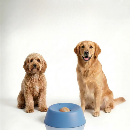 Dog Enrichment Bowl – Slow Feeder Bowl for Mental Stimulation