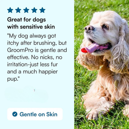 Dog Grooming Brush – Deshedding &amp; Coat Care Tool for Dogs