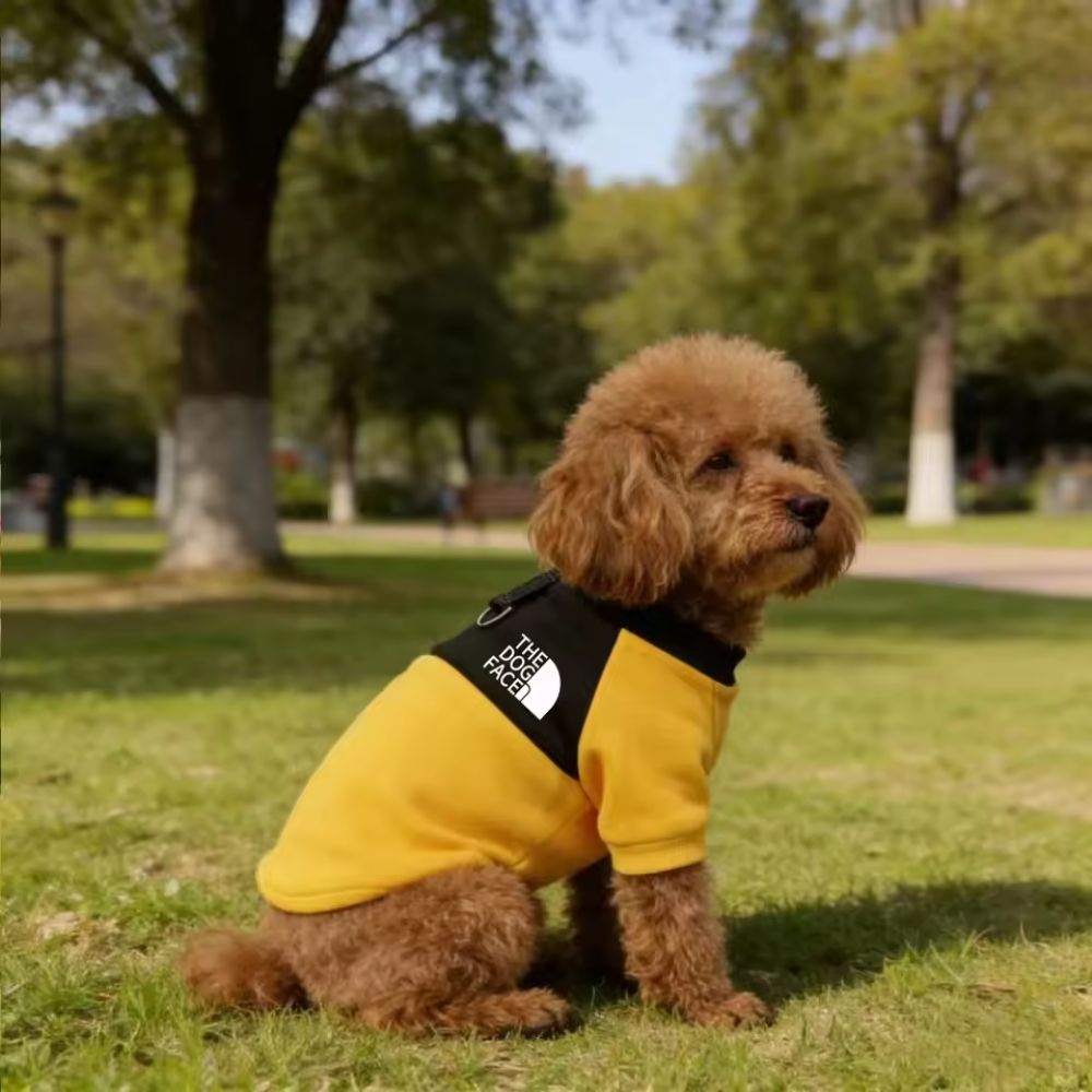 Dog Hoodie Jacket – Warm Windproof Coat for Small Dogs &amp; French Bulldogs