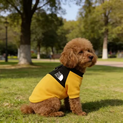Dog Hoodie Jacket – Warm Windproof Coat for Small Dogs &amp; French Bulldogs