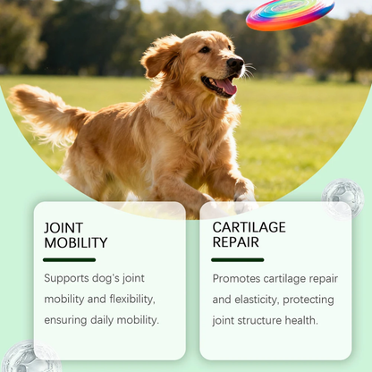 Joint Supplement Soft Chews for Dogs | Senior Dog Use