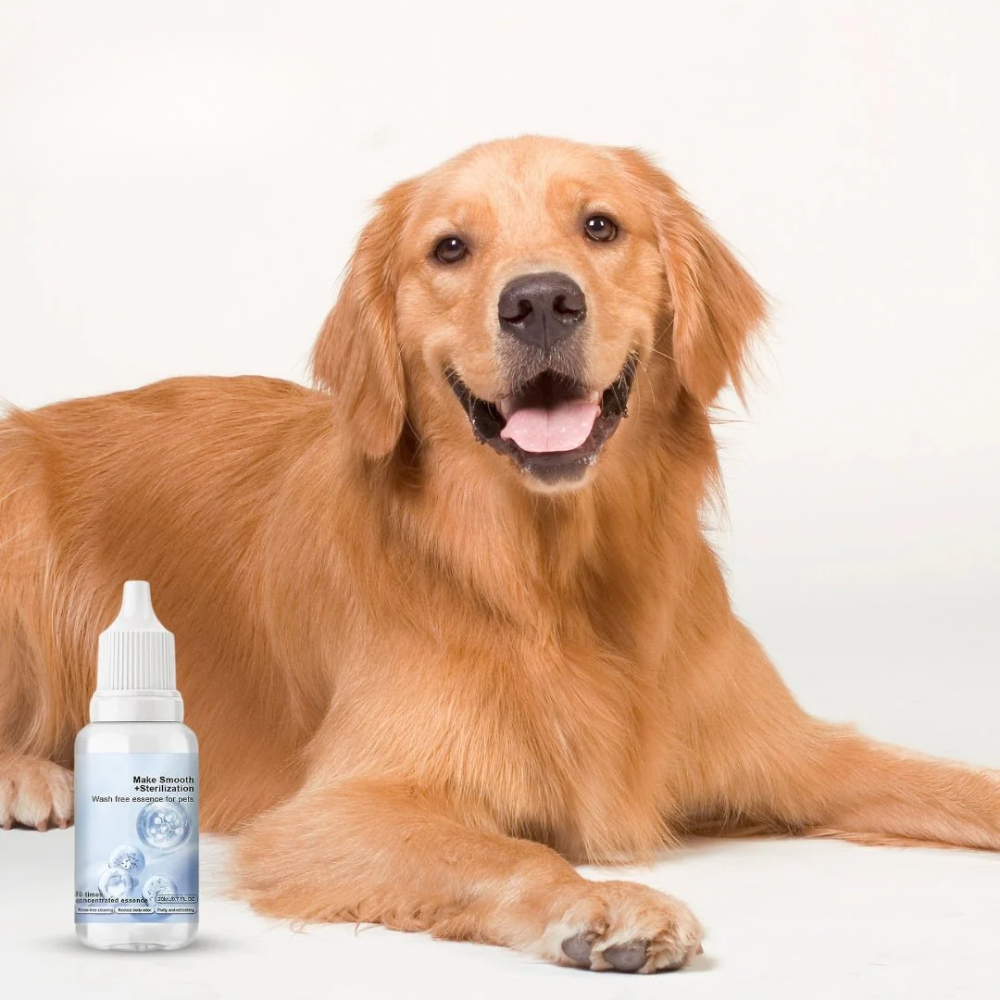 Dog Shampoo Drops – Coat Freshening Grooming Solution