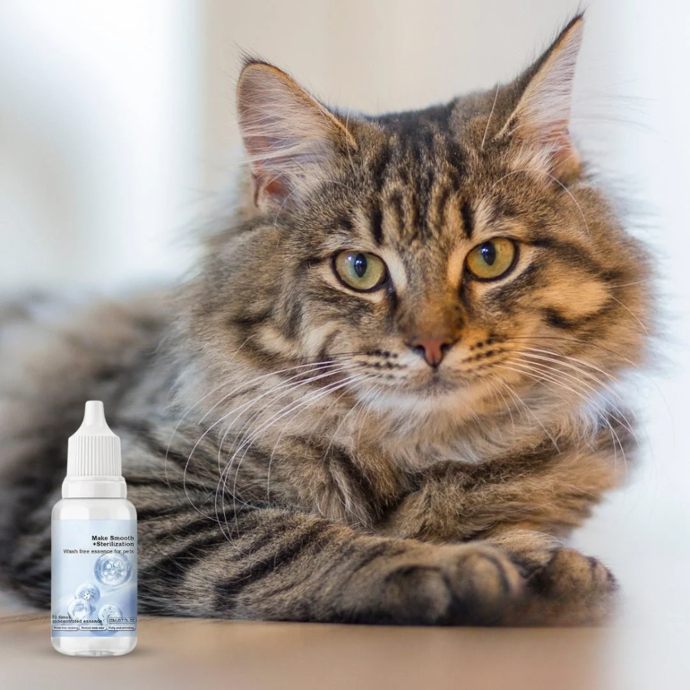 Dog Shampoo Drops – Coat Freshening Grooming Solution