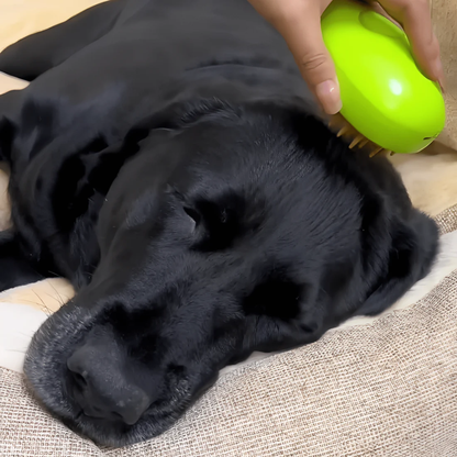 Dog Steam Grooming Brush for Shedding &amp; Detangling – Pet Hair Removal Tool