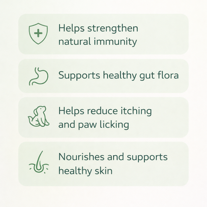 Skin Support Supplement Tablets for Dogs | After Meal Use