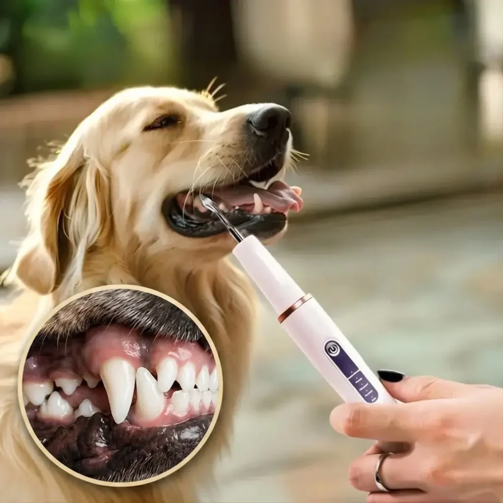Dog Teeth Cleaning Tool – Ultrasonic Tartar Remover for Home Dental Care
