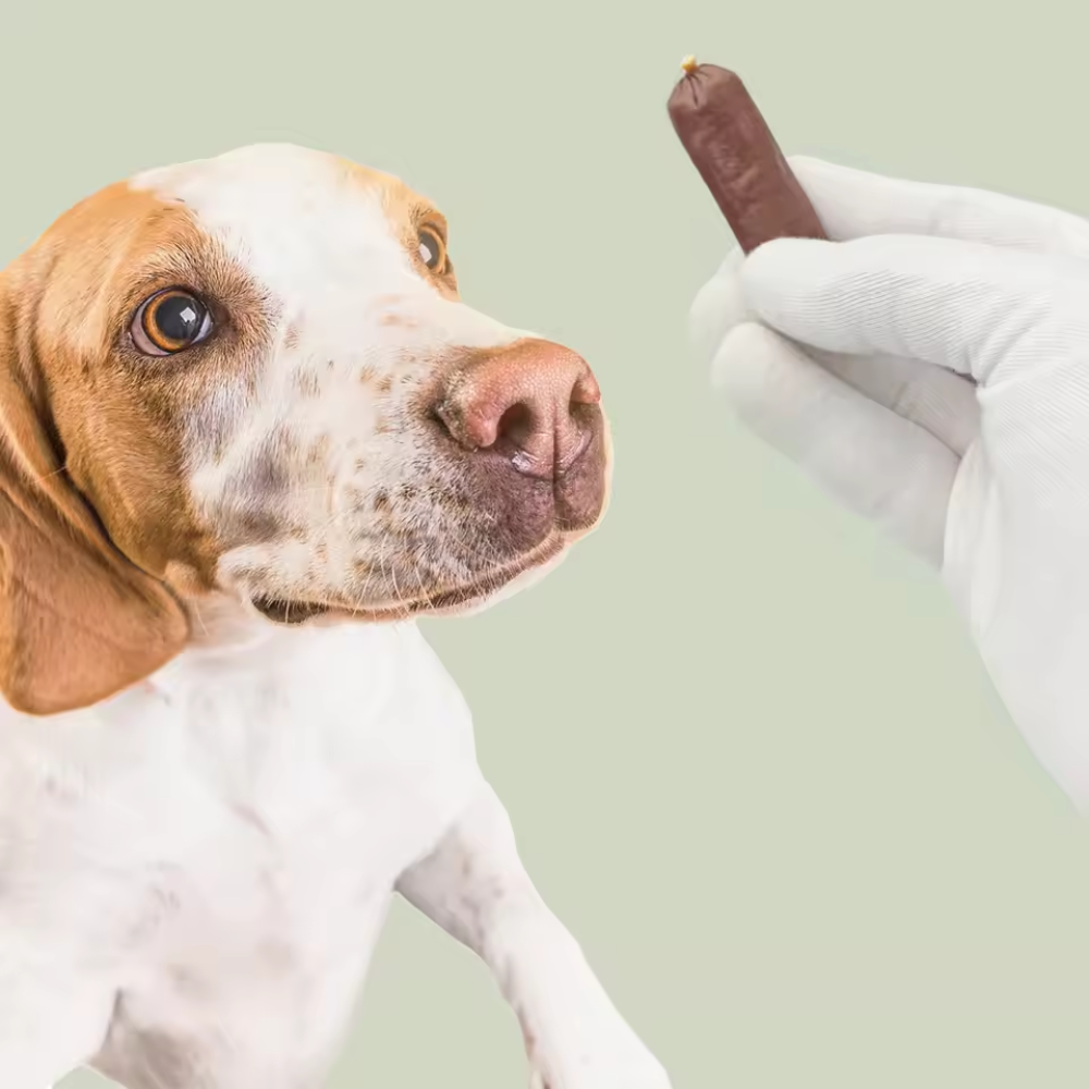 Duck Sausage Treats for Dogs | 500g Snack