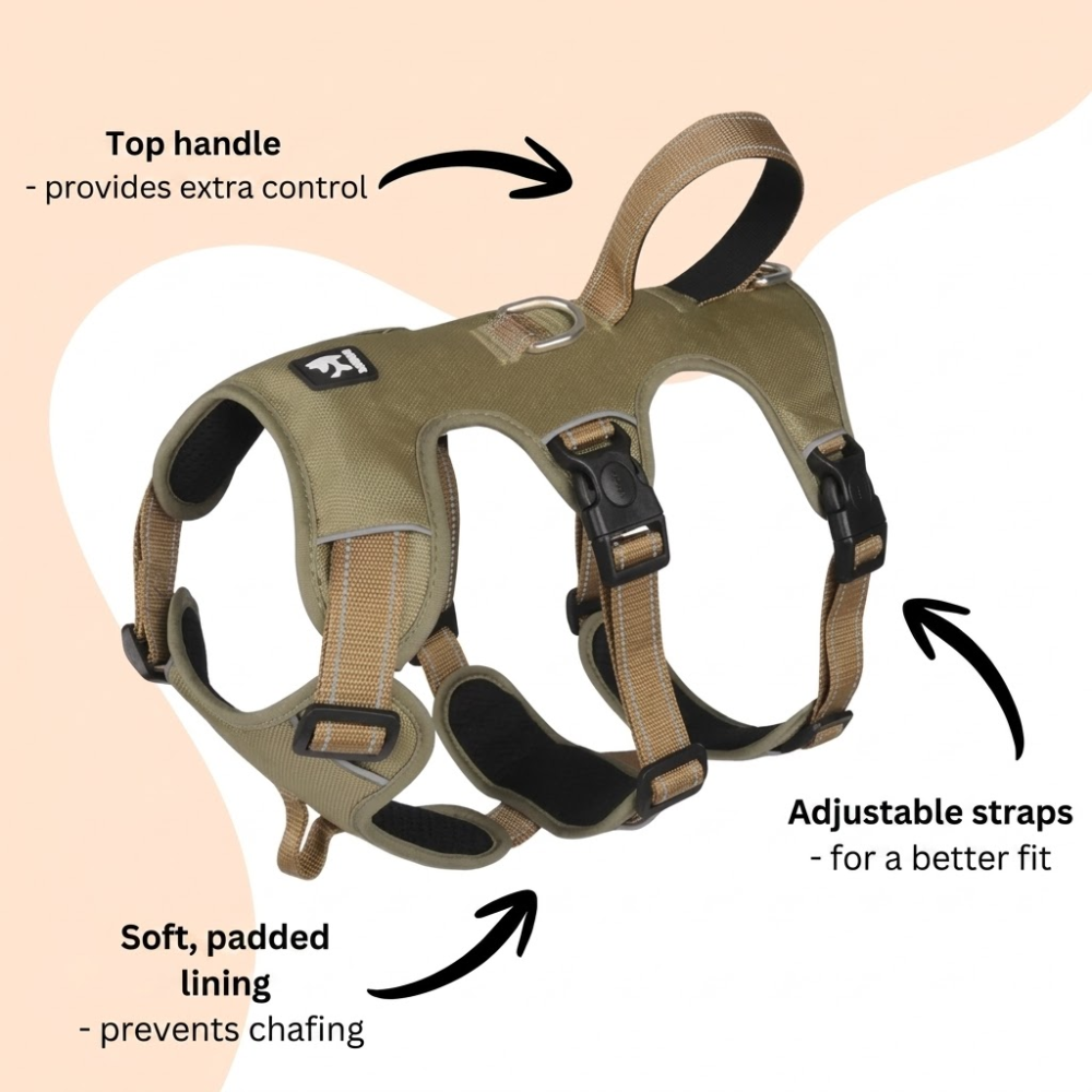 Escape Resistant Dog Harness with Handle &amp; Adjustable Straps – Harness Pro