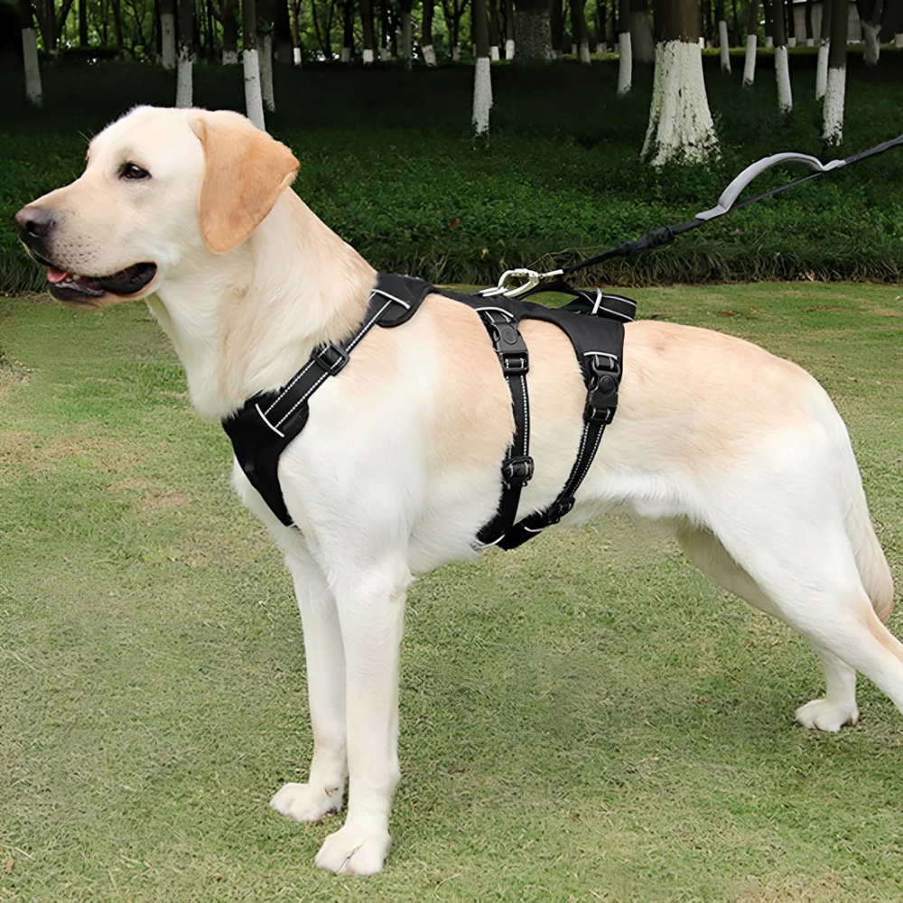 Escape Resistant Dog Harness with Handle &amp; Adjustable Straps – Harness Pro