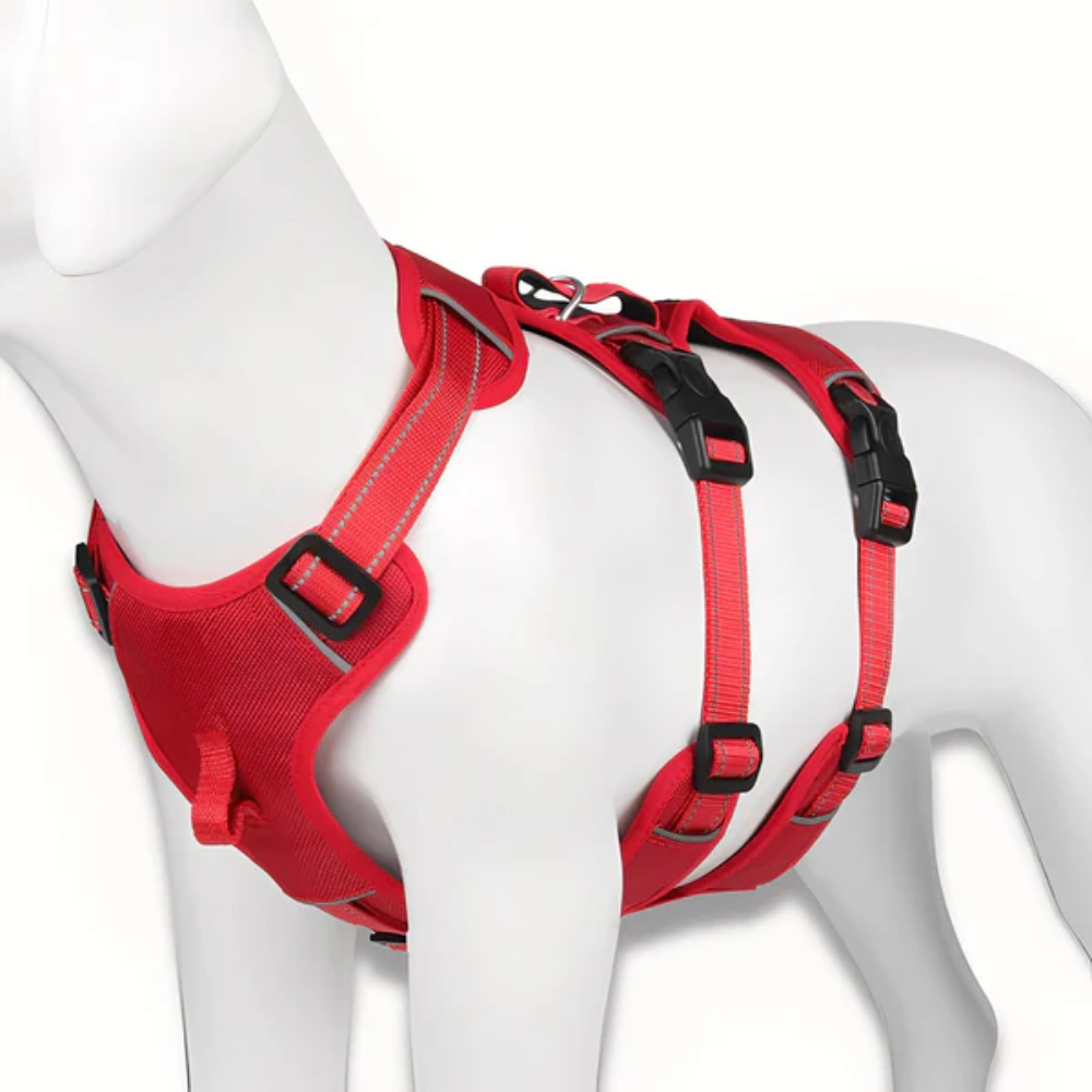 Escape Resistant Dog Harness with Handle &amp; Adjustable Straps – Harness Pro