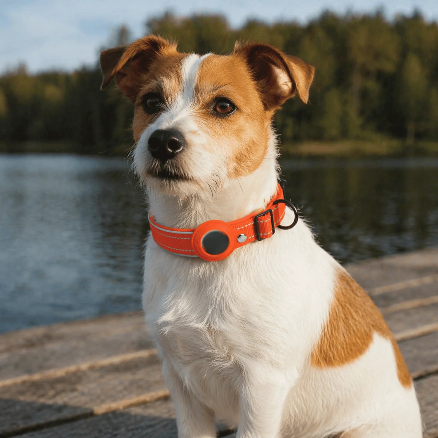 GPS Dog Tracker Collar – Android Compatible Pet Tracking Collar