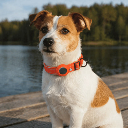 GPS Dog Tracker Collar – Android Compatible Pet Tracking Collar