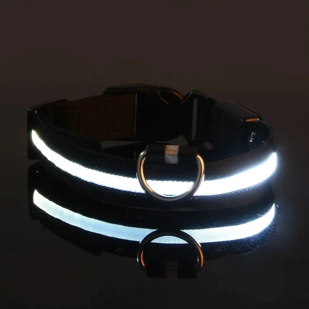 LED Dog Collar – Rechargeable Light Up Collar for Dogs