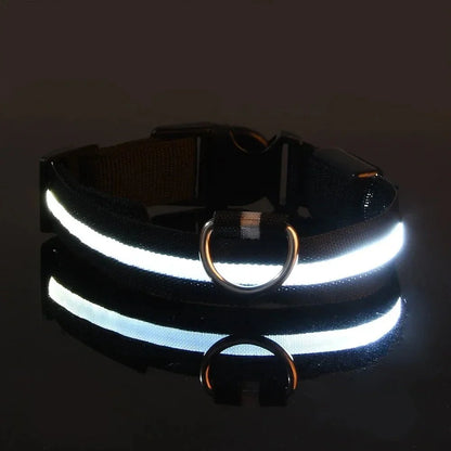 LED Dog Collar – Rechargeable Light Up Collar for Dogs