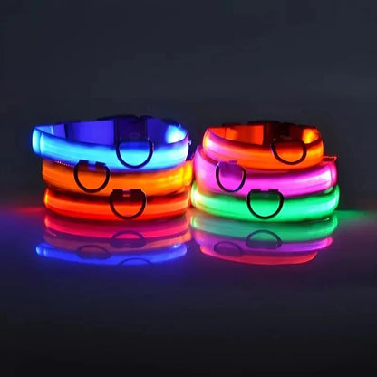 LED Dog Collar – Rechargeable Light Up Collar for Dogs