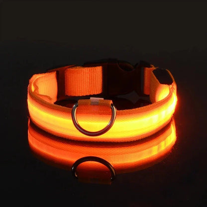 LED Dog Collar – Rechargeable Light Up Collar for Dogs