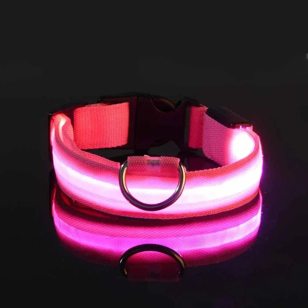 LED Dog Collar – Rechargeable Light Up Collar for Dogs