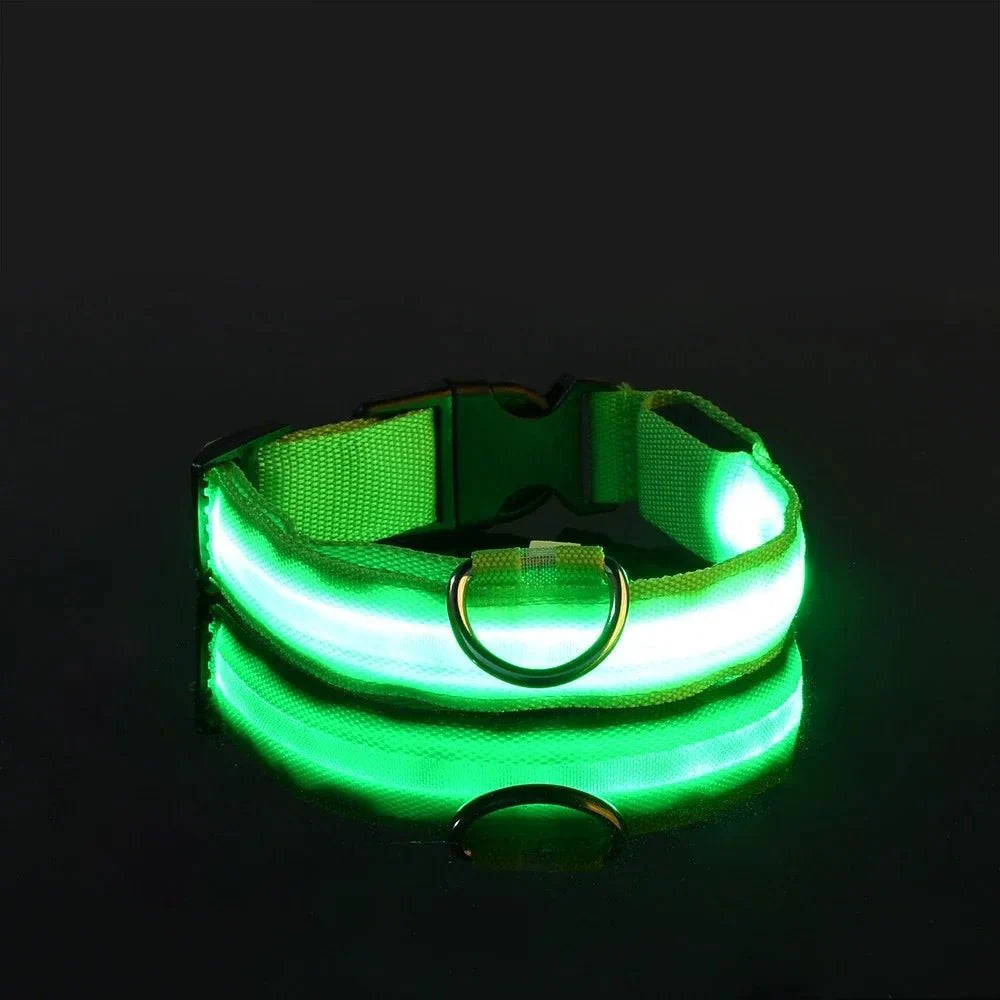 LED Dog Collar – Rechargeable Light Up Collar for Dogs