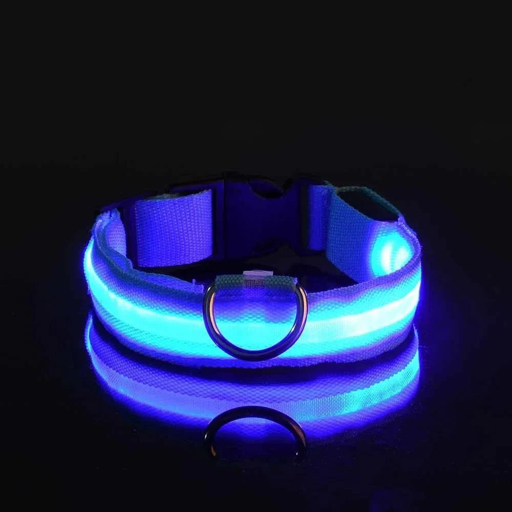 LED Dog Collar – Rechargeable Light Up Collar for Dogs