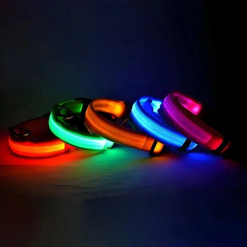 LED Dog Collar – Rechargeable Light Up Collar for Dogs