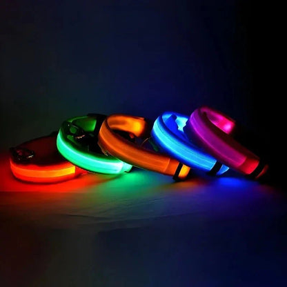 LED Dog Collar – Rechargeable Light Up Collar for Dogs