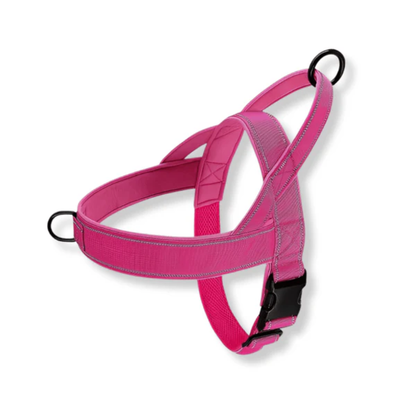 No Pull Dog Harness with Handle &amp; Dual Clips – Adjustable Escape Resistant Fit